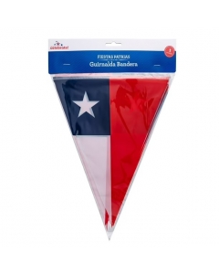 Guirnalda Bandera Tricolor 3,6 MT